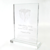 Nagroda PLAY - Salon Roku 2012